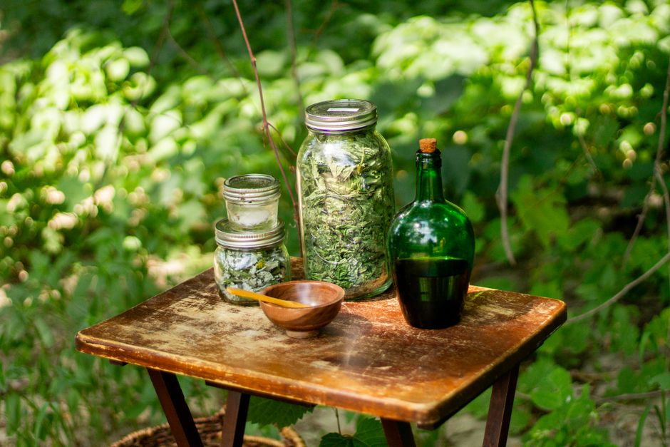 Gut Healing with Demulcent Herbs