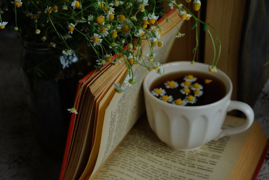 Gut Soothing Herbs for Leaky Gut Repair: An Evidence-Based Review